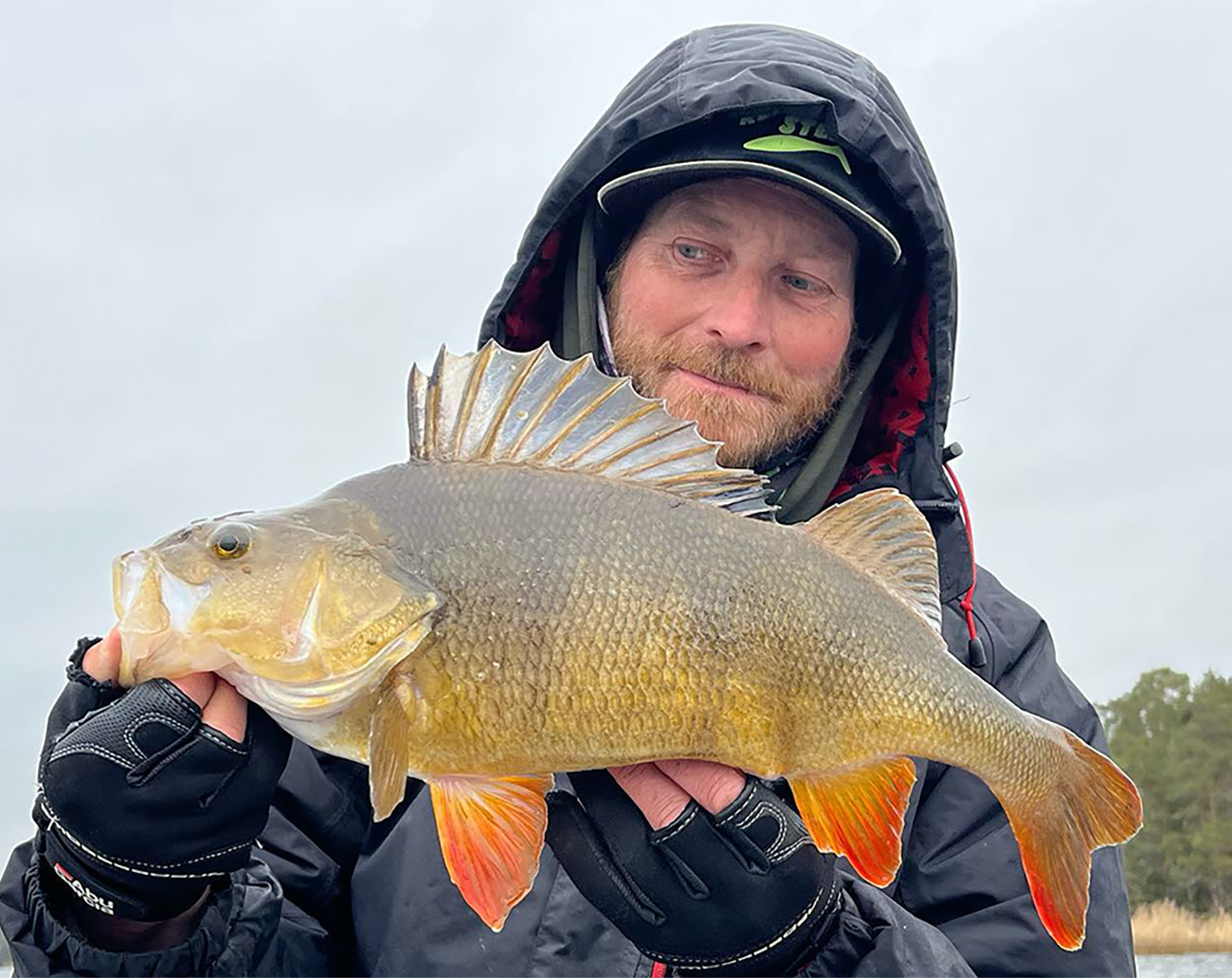 Renz Beastly Stripe MB Multi Combo